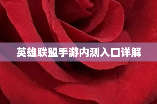 英雄联盟手游内测入口详解图片