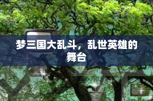 乱世英雄的舞台图片