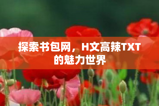 H文高辣TXT的魅力世界图片