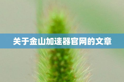 关于金山加速器官网的文章图片