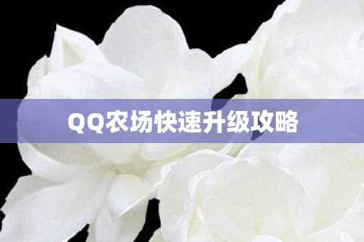 QQ农场快速升级攻略图片