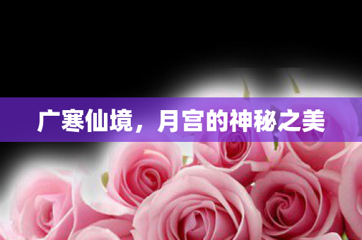 月宫的神秘之美图片