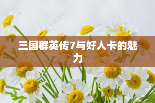 三国群英传7与好人卡的魅力图片