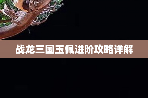 战龙三国玉佩进阶攻略详解图片