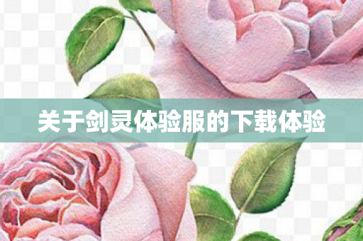 关于剑灵体验服的下载体验图片