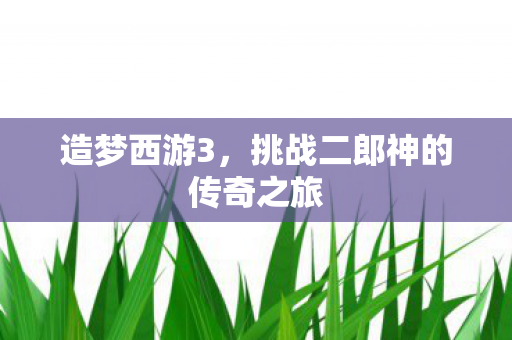 挑战二郎神的传奇之旅图片