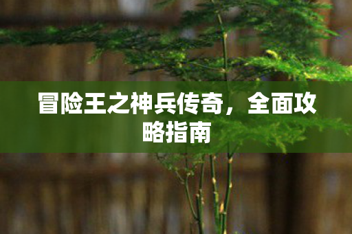冒险王之神兵传奇图片
