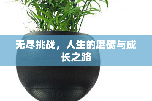 人生的磨砺与成长之路图片