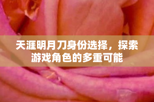 探索游戏角色的多重可能图片