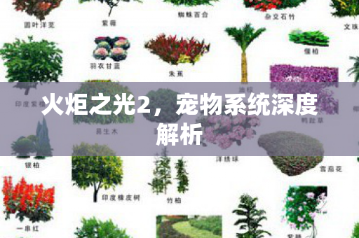 宠物系统深度解析图片