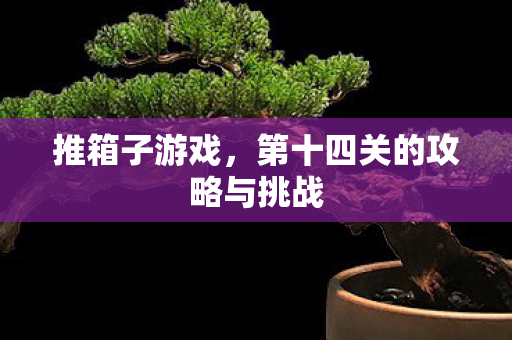 第十四关的攻略与挑战图片