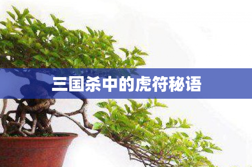 三国杀中的虎符秘语图片