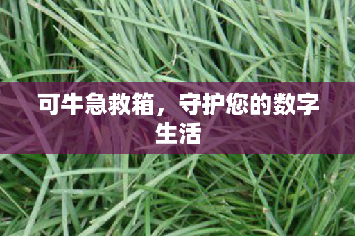 守护您的数字生活图片