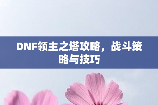 DNF领主之塔攻略图片