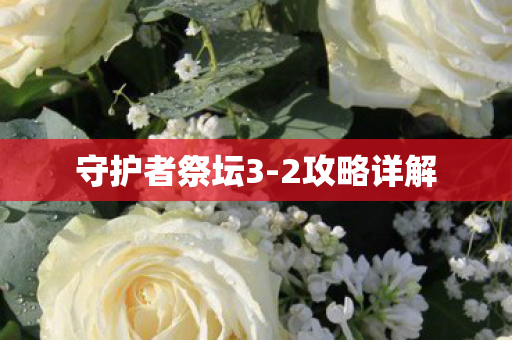 守护者祭坛3图片