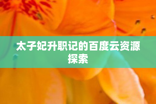 太子妃升职记的百度云资源探索图片