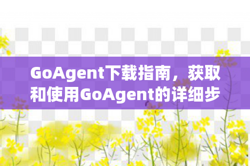 获取和使用GoAgent的详细步骤图片