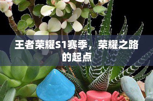 王者荣耀S1赛季图片