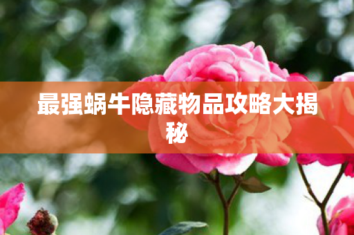 最强蜗牛隐藏物品攻略大揭秘图片