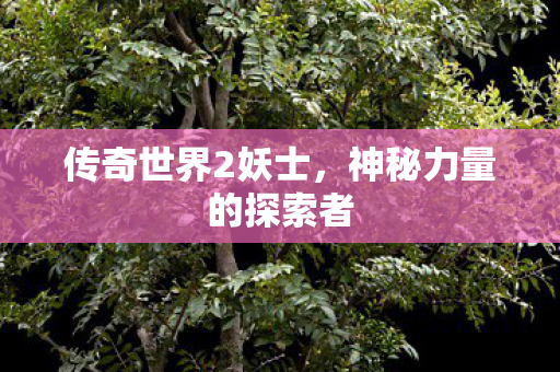 神秘力量的探索者图片