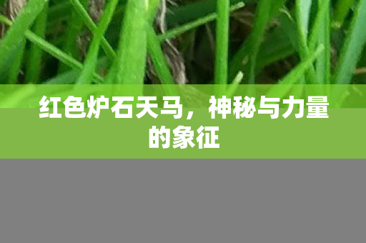 神秘与力量的象征图片