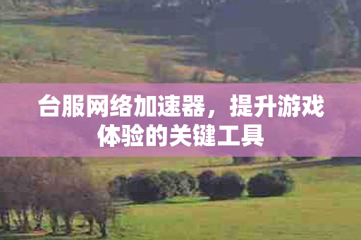 提升游戏体验的关键工具图片