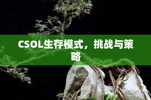 CSOL生存模式图片