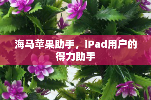 iPad用户的得力助手图片