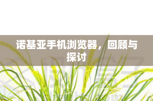 诺基亚手机浏览器图片