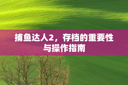 存档的重要性与操作指南图片