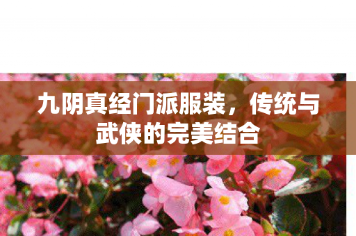 传统与武侠的完美结合图片