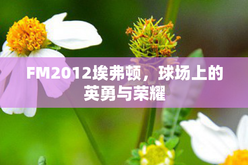 FM2012埃弗顿图片