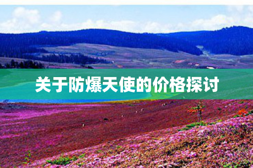 关于防爆天使的价格探讨图片