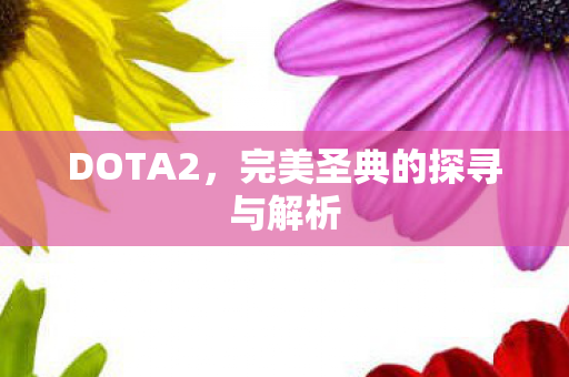 完美圣典的探寻与解析图片