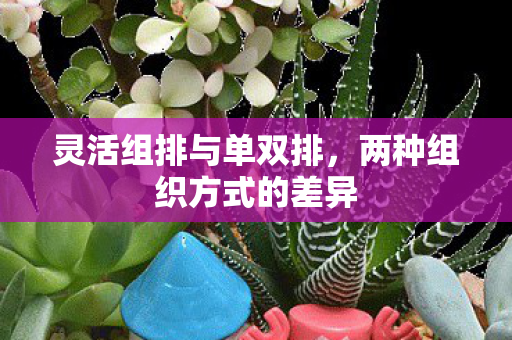 两种组织方式的差异图片