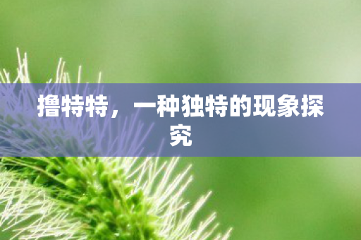 一种独特的现象探究图片