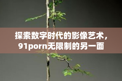 91porn无限制的另一面图片