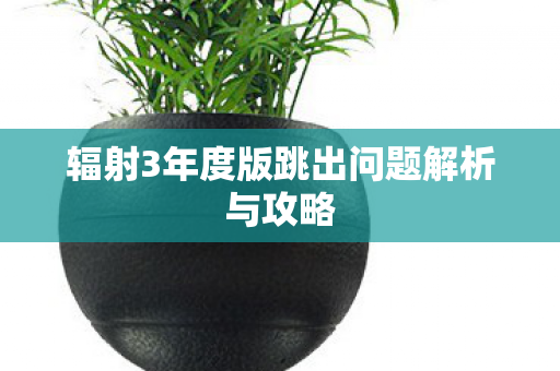 辐射3年度版跳出问题解析与攻略图片