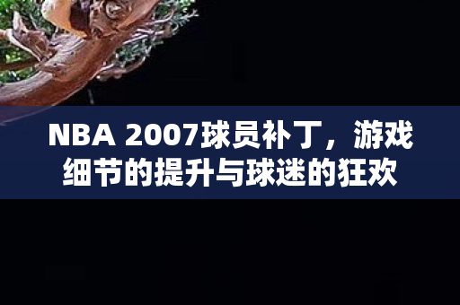 游戏细节的提升与球迷的狂欢图片