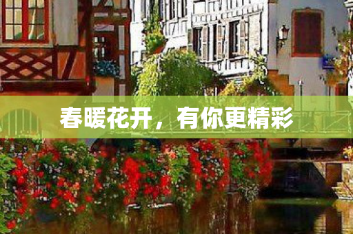 有你更精彩图片