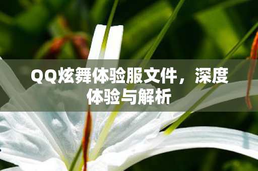 QQ炫舞体验服文件图片