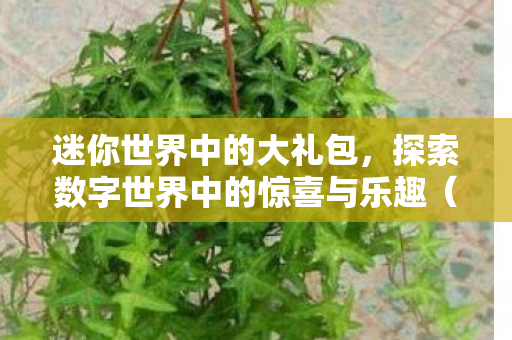 探索数字世界中的惊喜与乐趣图片