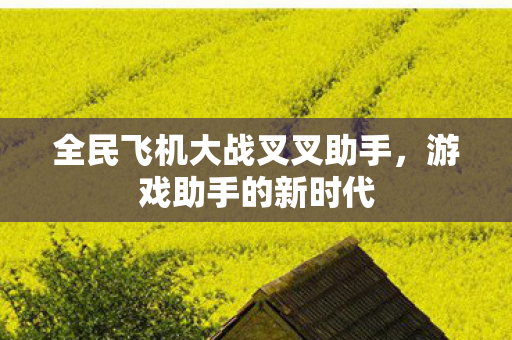 全民飞机大战叉叉助手图片