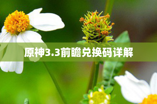 3前瞻兑换码详解图片