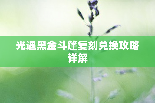 光遇黑金斗篷复刻兑换攻略详解图片