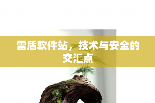 雷盾软件站,技术与安全的交汇点 雷盾软件站,技术与安全的交汇点