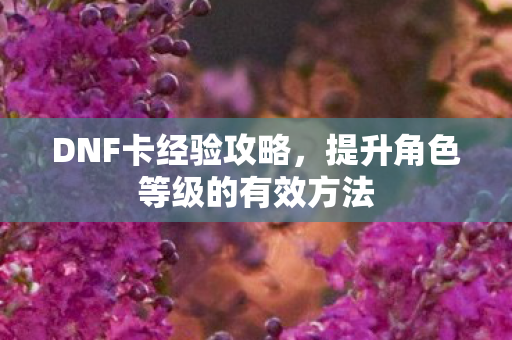 提升角色等级的有效方法图片
