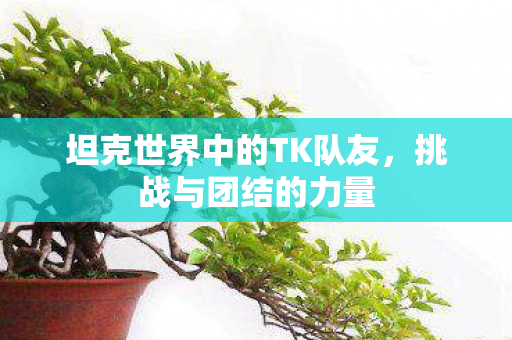 坦克世界中的TK队友图片