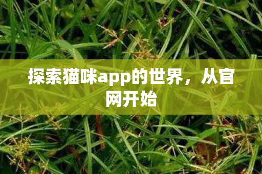 探索猫咪app的世界图片