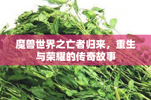 重生与荣耀的传奇故事图片